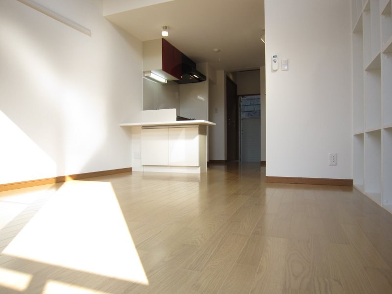 カリーナ その他9