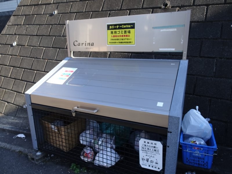 カリーナ その他18