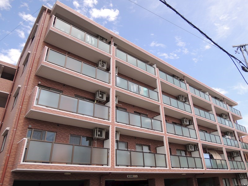 La　Casa　del　Pozo　Blanco その他31