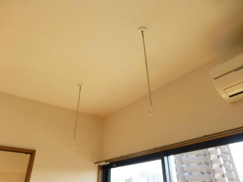 ネオニシキ その他9