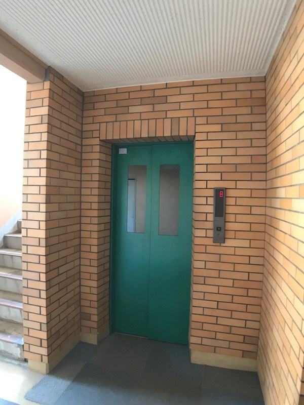 ネオニシキ その他22