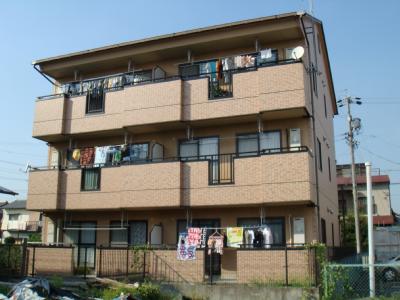 ドミール105