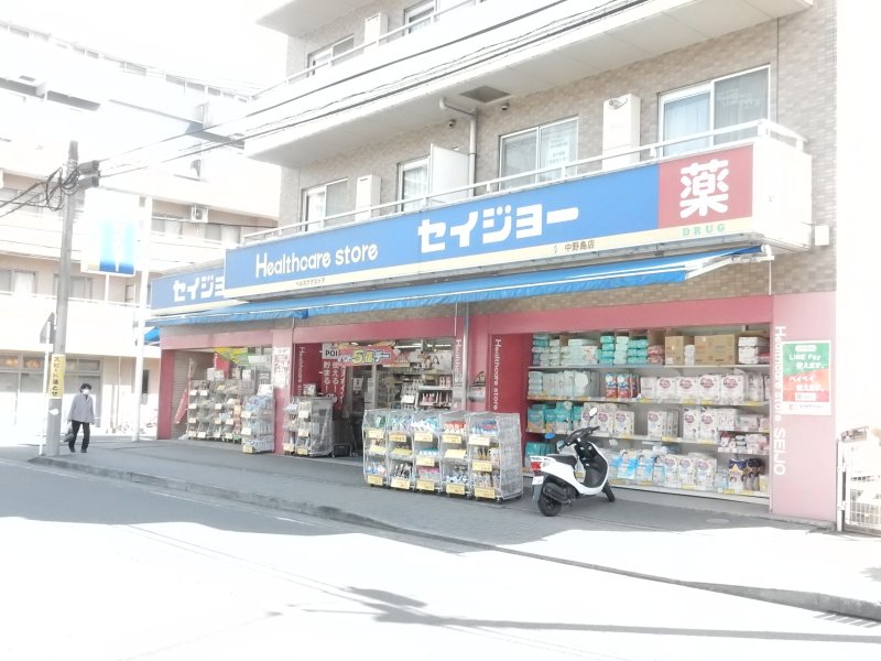 ファミール中野島 周辺画像3