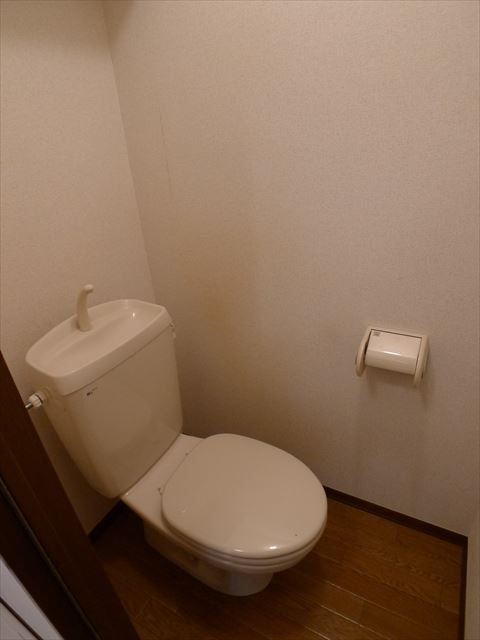 グレイス その他3