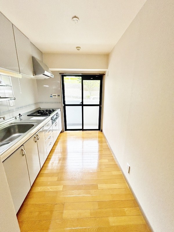 ベルカーサ守恒 その他28