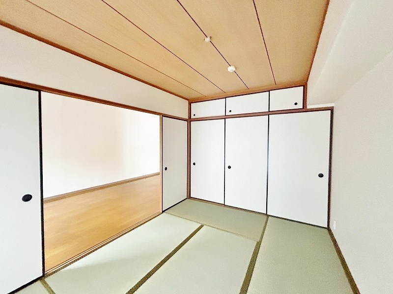 ベルカーサ守恒 その他38