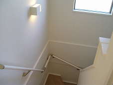 Ｙヨウトウ７パナメゾン その他8