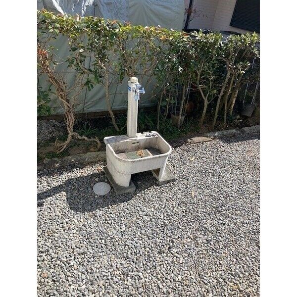 Ｙヨウトウ７パナメゾン その他19