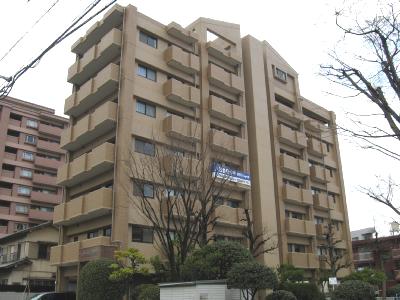 ルフラン東新町 801号室 外観