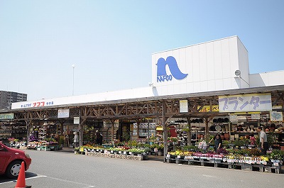 クレッシェンド西南 周辺画像6