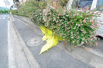 ラフィネ香嵐　Ｃ棟　 その他12