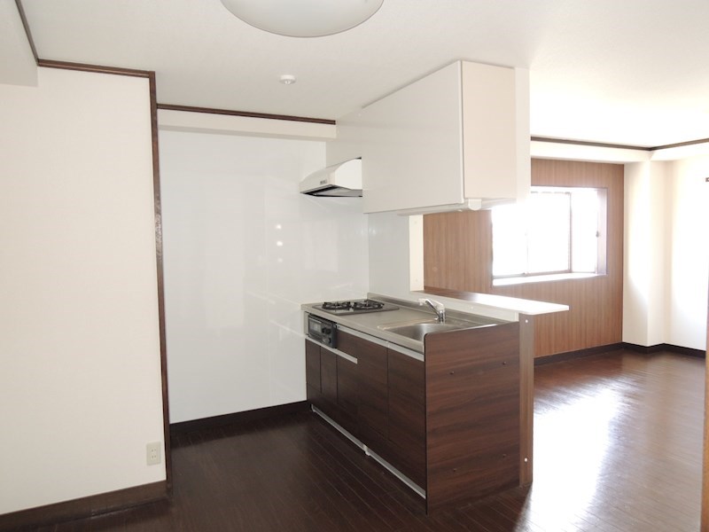 リンデンハイムアネックスB キッチン