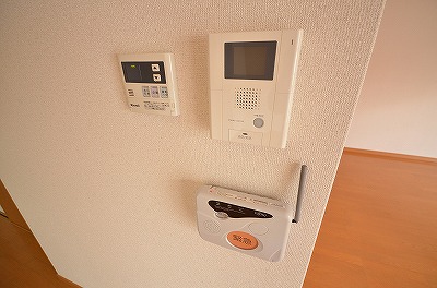 ゼルコバ その他3