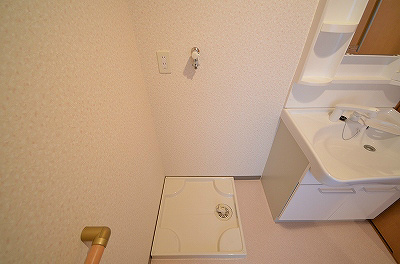 ゼルコバ その他9