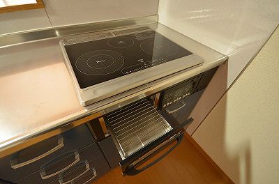 ゼルコバ その他12