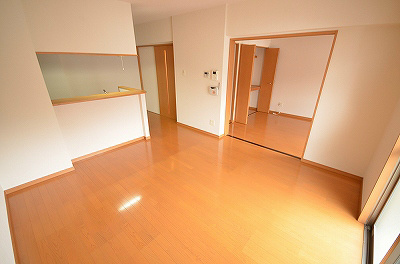 ゼルコバ その他13