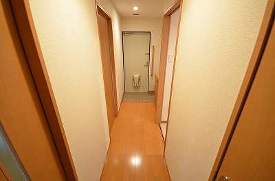 ゼルコバ その他15