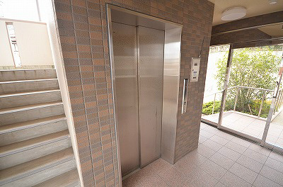 ゼルコバ その他20