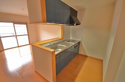 ゼルコバ キッチン