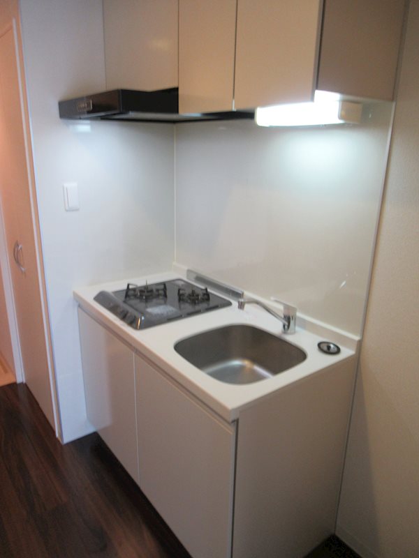 ＲＩＳＥ ＳＴＡＧＥ ＭＵＳＡＳＨＩ-ＫＯＧＡＮＥＩ キッチン