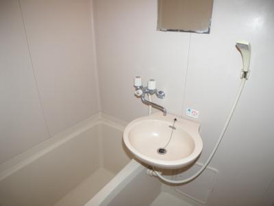 シャトレ金鶏Ⅱ 風呂画像