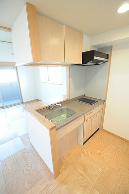 ＬＥＡＤ真鶴（リード真鶴）(高齢者向け優良賃貸住宅) キッチン