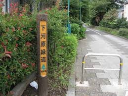 周辺画像5