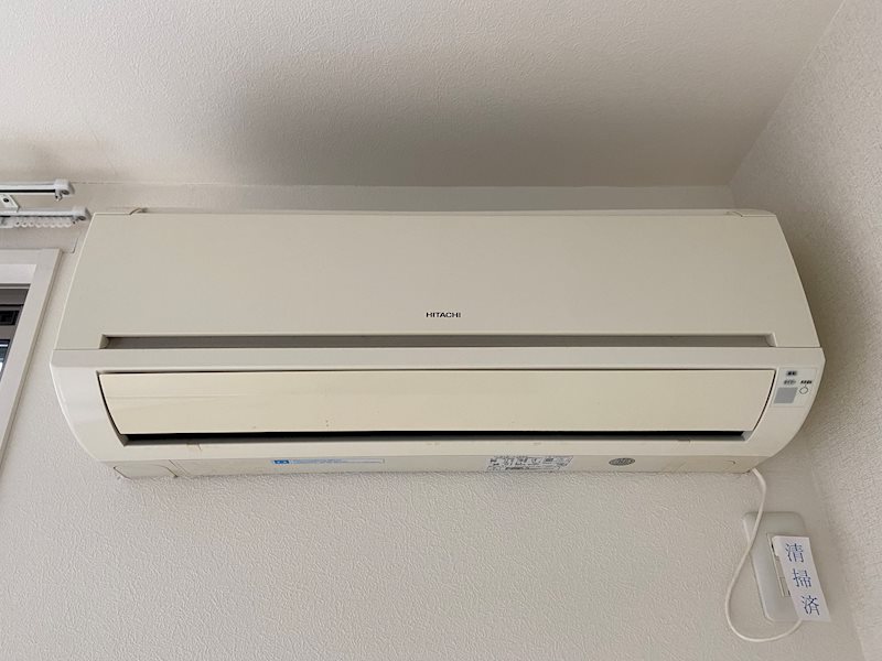 サンフラワー その他11