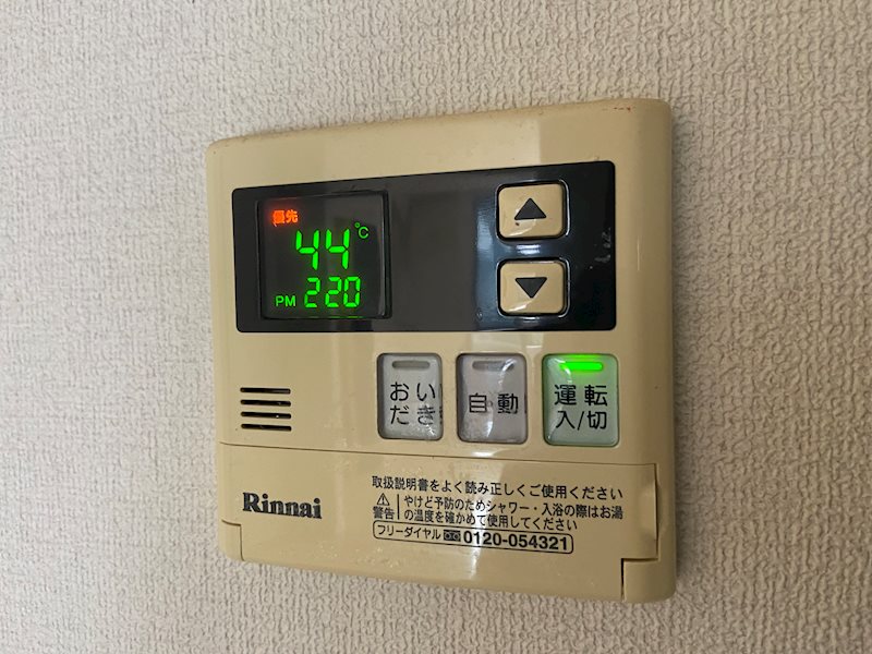 サンフラワー その他12