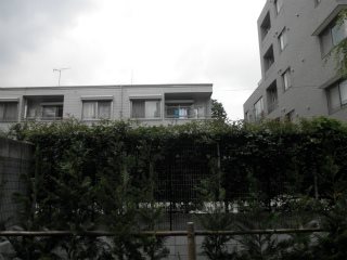 スパシエ新宿哲学堂公園 その他7