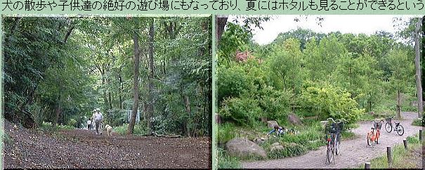 サンハイツ石田 周辺画像10