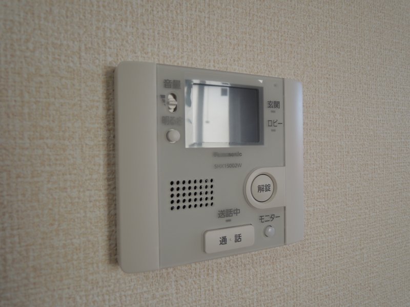 ウエストパーシモン その他2