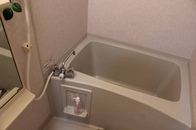 ミレニアム 風呂画像