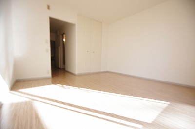 ビーラインＨＡＹＡＭＡ その他1