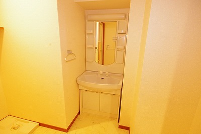 ハイネス若園 その他3