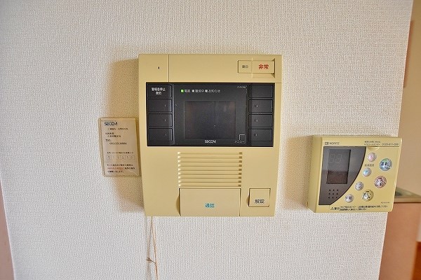 Ｆｏｒｏ　Ｒｏｍａｎｏ（フォロロマーノ） その他3