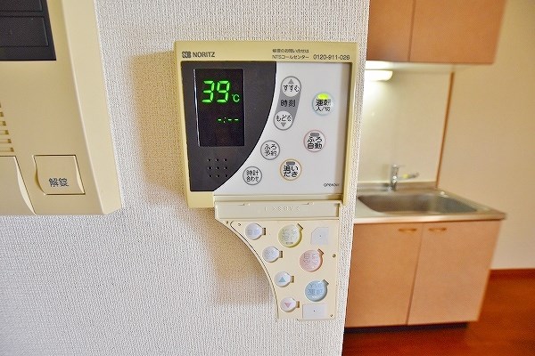 Ｆｏｒｏ　Ｒｏｍａｎｏ（フォロロマーノ） その他5