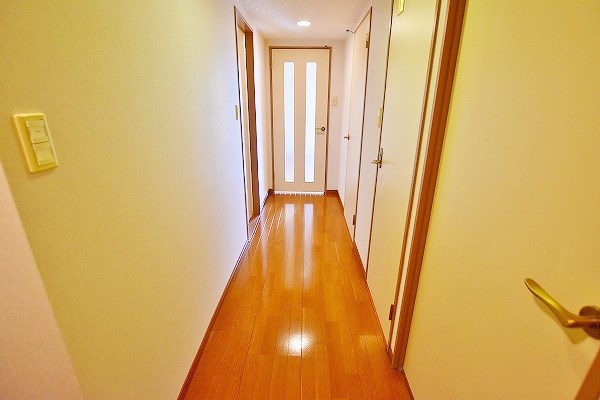 Ｆｏｒｏ　Ｒｏｍａｎｏ（フォロロマーノ） その他12