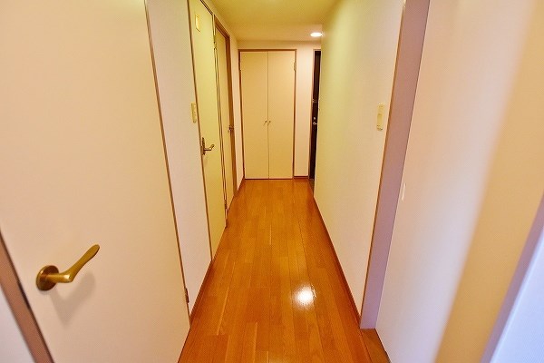 Ｆｏｒｏ　Ｒｏｍａｎｏ（フォロロマーノ） その他13