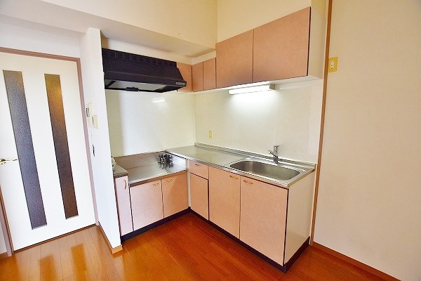 Ｆｏｒｏ　Ｒｏｍａｎｏ（フォロロマーノ） その他35