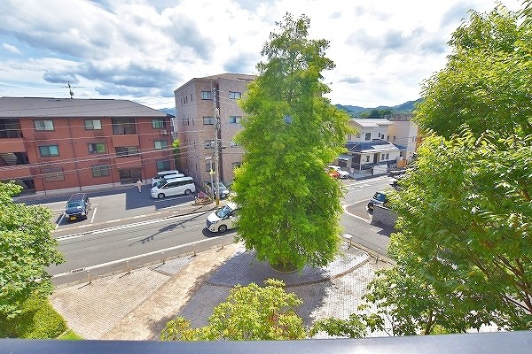 Ｆｏｒｏ　Ｒｏｍａｎｏ（フォロロマーノ） その他42