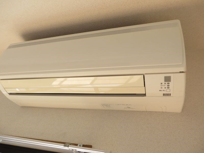 ブライトスター その他9