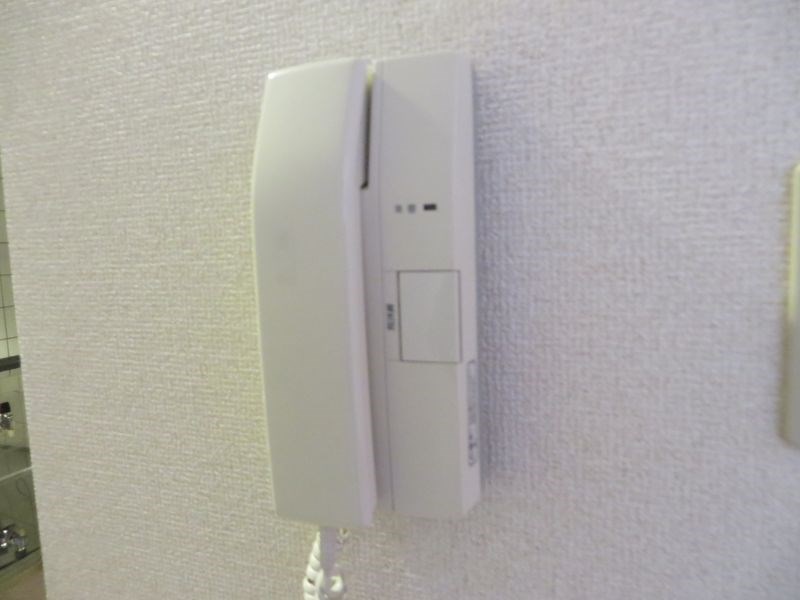 ブライトスター その他14