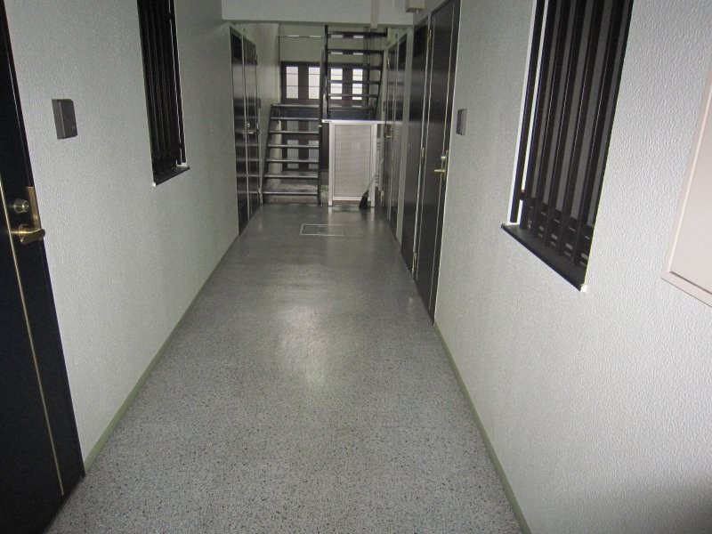 ブライトスター その他16