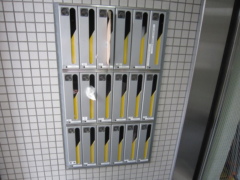 ブライトスター その他17