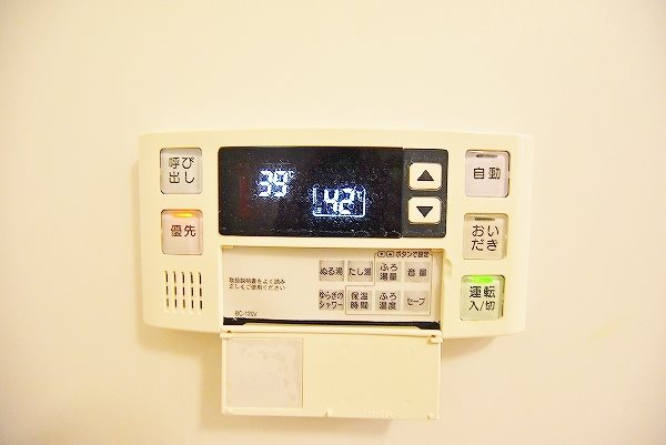 ウィークスステラ その他2