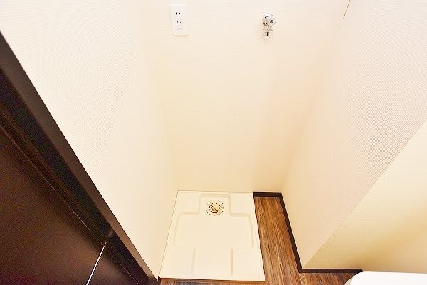 ウィークスステラ その他7