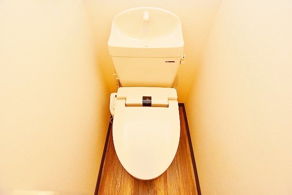 ウィークスステラ その他11