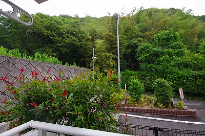 カレントハウス   その他4