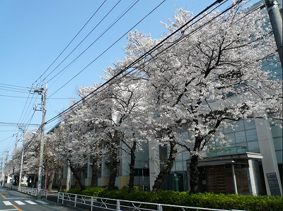 世田谷区南烏山6丁目楽器可（ピアノ・弦楽器）マンション その他